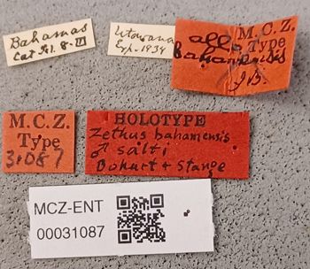 Media type: image;   Entomology 31087 Aspect: labels